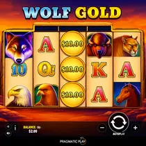 Winningz - Wolf Gold Slot Game - Pragmatic Play